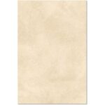 Limestone Ivory 600x600 Outdoor Tile Main