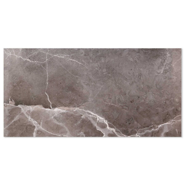 Moonstone Graphite Grey 300x600 Polished Marble Effect Porcelain Tile Main